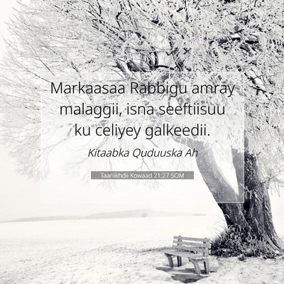 Picture 07 - Taariikhdii Kowaad 21:27 SOM - Markaasaa Rabbigu amray malaggii, isna seeftiisuu - Bible Verse Picture