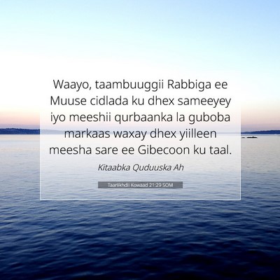 Picture 07 - Taariikhdii Kowaad 21:29 SOM - Waayo, taambuuggii Rabbiga ee Muuse cidlada ku - Bible Verse Picture