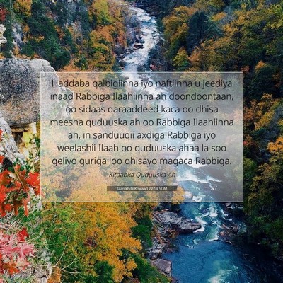 Picture 07 - Taariikhdii Kowaad 22:19 SOM - Haddaba qalbigiinna iyo naftiinna u jeediya inaad - Bible Verse Picture