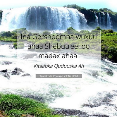 Picture 07 - Taariikhdii Kowaad 23:16 SOM - Ina Gershoomna wuxuu ahaa Shebuu'eel oo madax - Bible Verse Picture