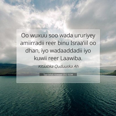 Picture 07 - Taariikhdii Kowaad 23:2 SOM - Oo wuxuu soo wada ururiyey amiirradii reer binu - Bible Verse Picture