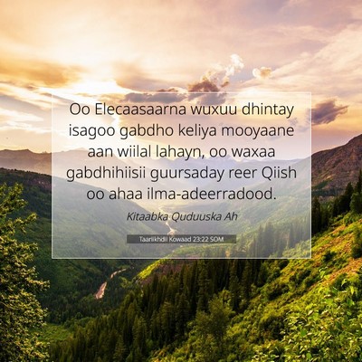 Picture 07 - Taariikhdii Kowaad 23:22 SOM - Oo Elecaasaarna wuxuu dhintay isagoo gabdho - Bible Verse Picture