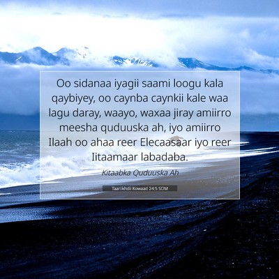 Picture 07 - Taariikhdii Kowaad 24:5 SOM - Oo sidanaa iyagii saami loogu kala qaybiyey, oo - Bible Verse Picture