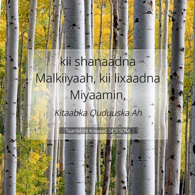 Picture 07 - Taariikhdii Kowaad 24:9 SOM - kii shanaadna Malkiiyaah, kii lixaadna - Bible Verse Picture