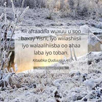 Picture 07 - Taariikhdii Kowaad 25:11 SOM - Kii afraadna wuxuu u soo baxay Yisrii, iyo - Bible Verse Picture