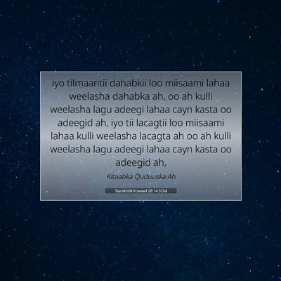 Picture 07 - Taariikhdii Kowaad 28:14 SOM - iyo tilmaantii dahabkii loo miisaami lahaa - Bible Verse Picture