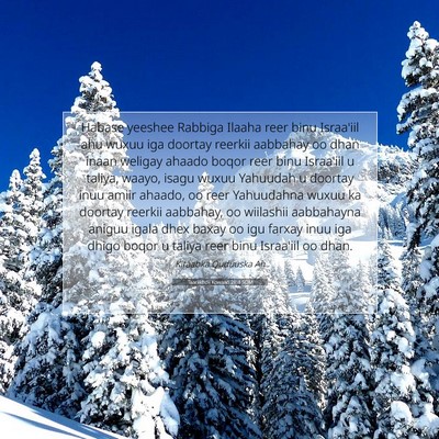 Picture 07 - Taariikhdii Kowaad 28:4 SOM - Habase yeeshee Rabbiga Ilaaha reer binu Israa'iil - Bible Verse Picture