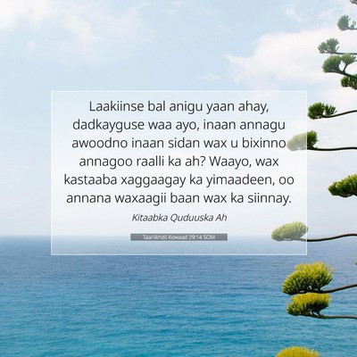 Picture 07 - Taariikhdii Kowaad 29:14 SOM - Laakiinse bal anigu yaan ahay, dadkayguse waa - Bible Verse Picture
