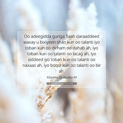 Picture 07 - Taariikhdii Kowaad 29:7 SOM - Oo adeegidda guriga Ilaah daraaddeed waxay u - Bible Verse Picture