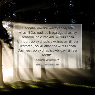 Picture 07 - Taariikhdii Kowaad 3:1 SOM - Haddaba kuwanu waxay ahaayeen wiilashii Daa'uud, - Bible Verse Picture