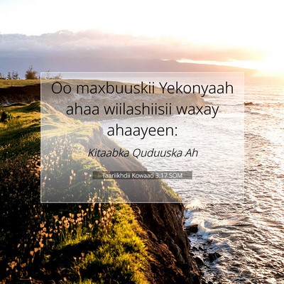 Picture 07 - Taariikhdii Kowaad 3:17 SOM - Oo maxbuuskii Yekonyaah ahaa wiilashiisii waxay - Bible Verse Picture