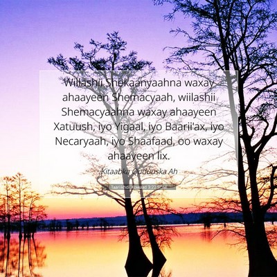 Picture 07 - Taariikhdii Kowaad 3:22 SOM - Wiilashii Shekaanyaahna waxay ahaayeen - Bible Verse Picture