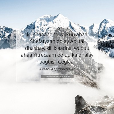 Picture 07 - Taariikhdii Kowaad 3:3 SOM - kii shanaadna wuxuu ahaa Shefatyaah oo ay Abiital - Bible Verse Picture