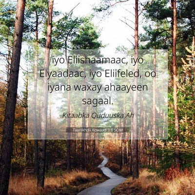 Picture 07 - Taariikhdii Kowaad 3:8 SOM - iyo Eliishaamaac, iyo Elyaadaac, iyo Eliifeled, - Bible Verse Picture