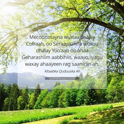 Picture 07 - Taariikhdii Kowaad 4:14 SOM - Mecoonotayna wuxuu dhalay Cofraah, oo Seraayaahna - Bible Verse Picture