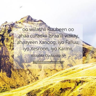 Picture 07 - Taariikhdii Kowaad 5:3 SOM - oo wiilashii Ruubeen oo ahaa curadkii Israa'iil - Bible Verse Picture