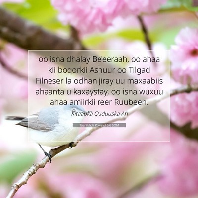 Picture 07 - Taariikhdii Kowaad 5:6 SOM - oo isna dhalay Be'eeraah, oo ahaa kii boqorkii - Bible Verse Picture