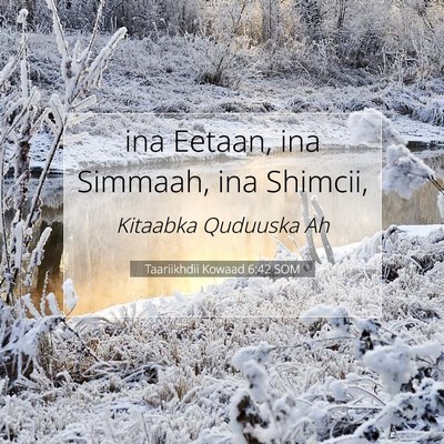 Picture 07 - Taariikhdii Kowaad 6:42 SOM - ina Eetaan, ina Simmaah, ina - Bible Verse Picture
