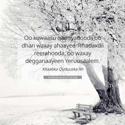 Picture 07 - Taariikhdii Kowaad 8:28 SOM - Oo kuwaasu qarniyadoodii oo dhan waxay ahaayeen - Bible Verse Picture