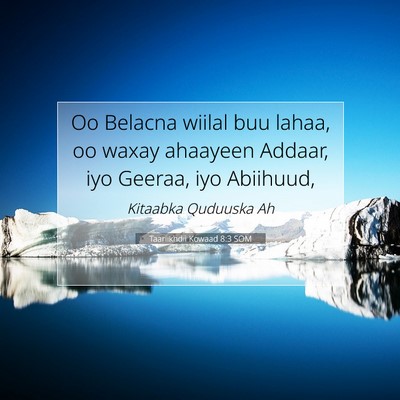Picture 07 - Taariikhdii Kowaad 8:3 SOM - Oo Belacna wiilal buu lahaa, oo waxay ahaayeen - Bible Verse Picture