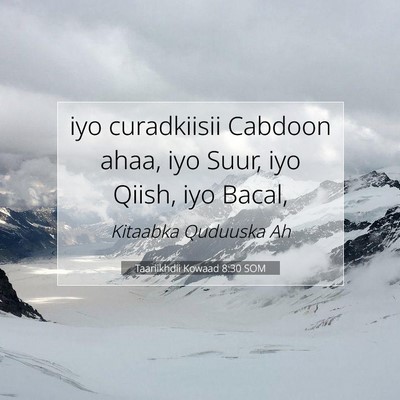 Picture 07 - Taariikhdii Kowaad 8:30 SOM - iyo curadkiisii Cabdoon ahaa, iyo Suur, iyo - Bible Verse Picture
