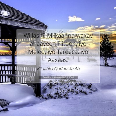 Picture 07 - Taariikhdii Kowaad 8:35 SOM - Wiilashii Miikaahna waxay ahaayeen Fiitoon, iyo - Bible Verse Picture