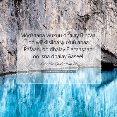 Picture 07 - Taariikhdii Kowaad 8:37 SOM - Moosaana wuxuu dhalay Bincaa, oo wiilkiisiina - Bible Verse Picture