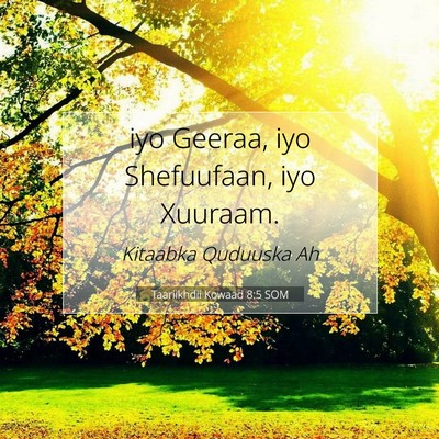 Picture 07 - Taariikhdii Kowaad 8:5 SOM - iyo Geeraa, iyo Shefuufaan, iyo - Bible Verse Picture
