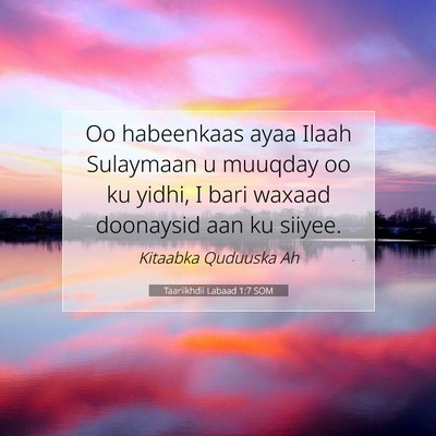 Picture 07 - Taariikhdii Labaad 1:7 SOM - Oo habeenkaas ayaa Ilaah Sulaymaan u muuqday oo - Bible Verse Picture