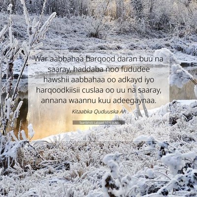 Picture 07 - Taariikhdii Labaad 10:4 SOM - War aabbahaa harqood daran buu na saaray, haddaba - Bible Verse Picture