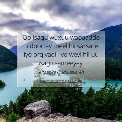 Picture 07 - Taariikhdii Labaad 11:15 SOM - Oo isagu wuxuu wadaaddo u doortay meelihii - Bible Verse Picture