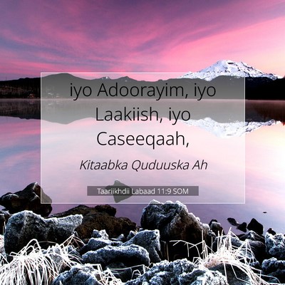 Picture 07 - Taariikhdii Labaad 11:9 SOM - iyo Adoorayim, iyo Laakiish, iyo - Bible Verse Picture