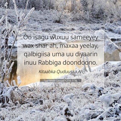 Picture 07 - Taariikhdii Labaad 12:14 SOM - Oo isagu wuxuu sameeyey wax shar ah, maxaa - Bible Verse Picture