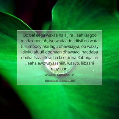 Picture 07 - Taariikhdii Labaad 13:12 SOM - Oo bal eega waxaa nala jira Ilaah isagoo madax - Bible Verse Picture