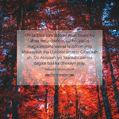 Picture 07 - Taariikhdii Labaad 13:2 SOM - Oo saddex sannadood ayuu boqor ku ahaa - Bible Verse Picture