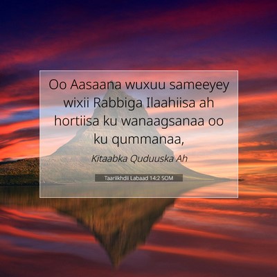 Picture 07 - Taariikhdii Labaad 14:2 SOM - Oo Aasaana wuxuu sameeyey wixii Rabbiga Ilaahiisa - Bible Verse Picture
