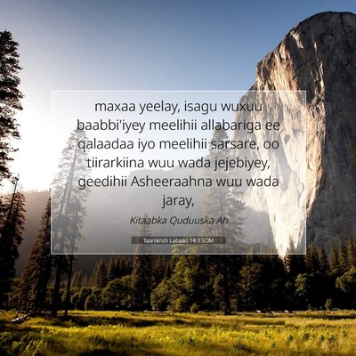 Picture 07 - Taariikhdii Labaad 14:3 SOM - maxaa yeelay, isagu wuxuu baabbi'iyey meelihii - Bible Verse Picture