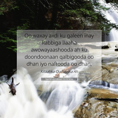 Picture 07 - Taariikhdii Labaad 15:12 SOM - Oo waxay axdi ku galeen inay Rabbiga Ilaaha - Bible Verse Picture