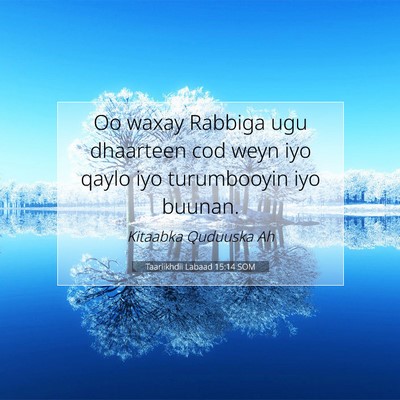 Picture 07 - Taariikhdii Labaad 15:14 SOM - Oo waxay Rabbiga ugu dhaarteen cod weyn iyo qaylo - Bible Verse Picture
