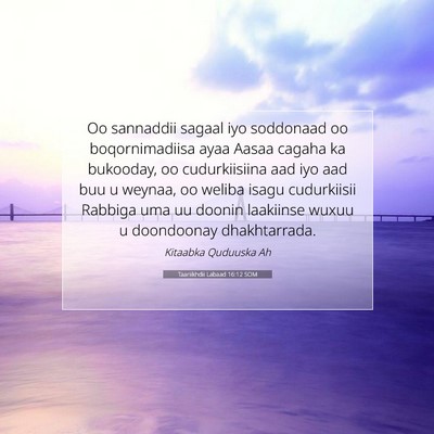 Picture 07 - Taariikhdii Labaad 16:12 SOM - Oo sannaddii sagaal iyo soddonaad oo - Bible Verse Picture
