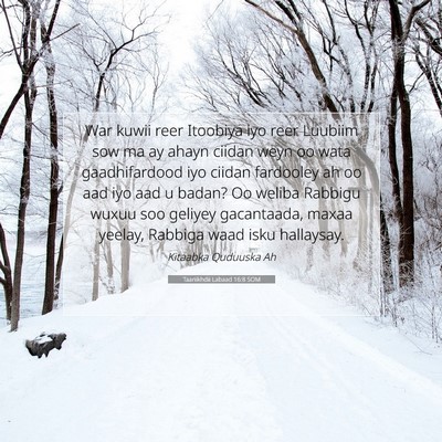 Picture 07 - Taariikhdii Labaad 16:8 SOM - War kuwii reer Itoobiya iyo reer Luubiim sow ma - Bible Verse Picture