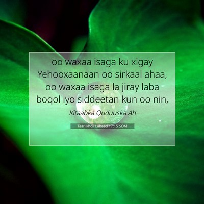 Picture 07 - Taariikhdii Labaad 17:15 SOM - oo waxaa isaga ku xigay Yehooxaanaan oo sirkaal - Bible Verse Picture