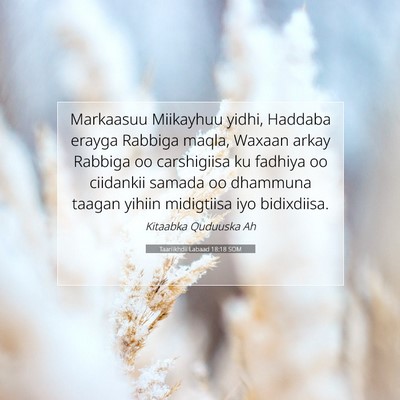Picture 07 - Taariikhdii Labaad 18:18 SOM - Markaasuu Miikayhuu yidhi, Haddaba erayga Rabbiga - Bible Verse Picture