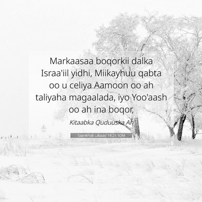Picture 07 - Taariikhdii Labaad 18:25 SOM - Markaasaa boqorkii dalka Israa'iil yidhi, - Bible Verse Picture