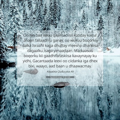 Picture 07 - Taariikhdii Labaad 18:33 SOM - Oo nin baa intuu qaansadiisii xooday kama' ahaan - Bible Verse Picture