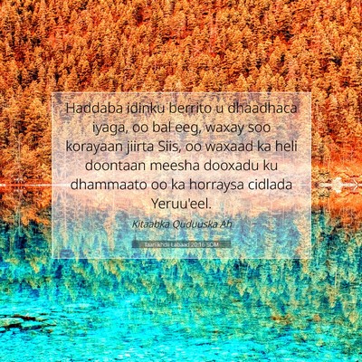 Picture 07 - Taariikhdii Labaad 20:16 SOM - Haddaba idinku berrito u dhaadhaca iyaga, oo bal - Bible Verse Picture