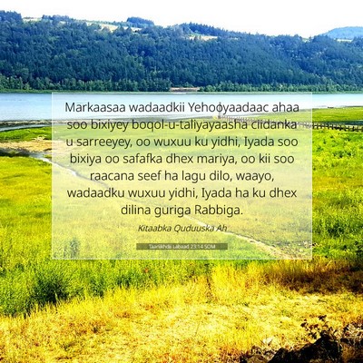 Picture 07 - Taariikhdii Labaad 23:14 SOM - Markaasaa wadaadkii Yehooyaadaac ahaa soo bixiyey - Bible Verse Picture