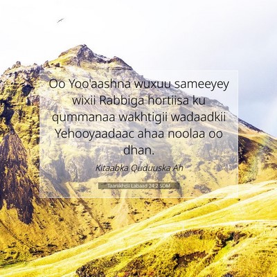 Picture 07 - Taariikhdii Labaad 24:2 SOM - Oo Yoo'aashna wuxuu sameeyey wixii Rabbiga - Bible Verse Picture