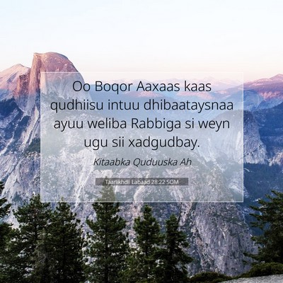 Picture 07 - Taariikhdii Labaad 28:22 SOM - Oo Boqor Aaxaas kaas qudhiisu intuu dhibaataysnaa - Bible Verse Picture