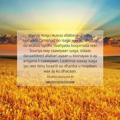 Picture 07 - Taariikhdii Labaad 28:23 SOM - Waayo, isagu wuxuu allabari u bixiyey ilaahyadii - Bible Verse Picture